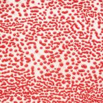 AMACO Crawls - CR-58 - Red - 1  pint